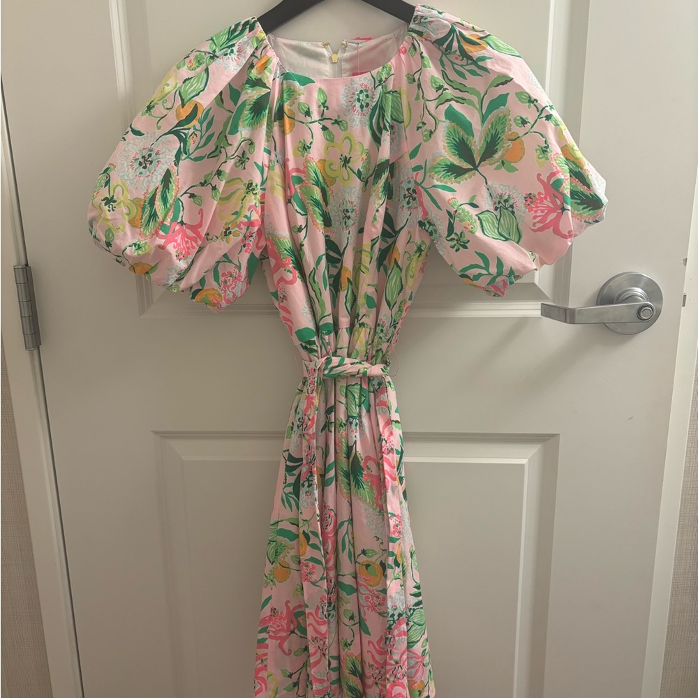 Lilly Pulitzer women’s size 2 knee length dress NWT